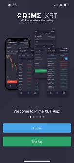 Mastering Forex Trade PrimeXBT Your Ultimate Guide to Success